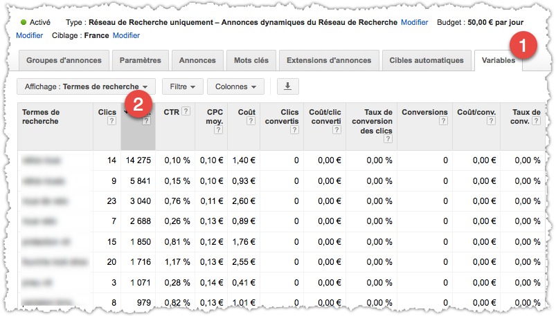 rapport des termes de recherche des annonces dynamiques