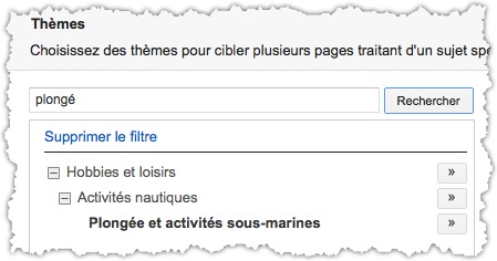 le ciblage par thème du réseau Display de Google