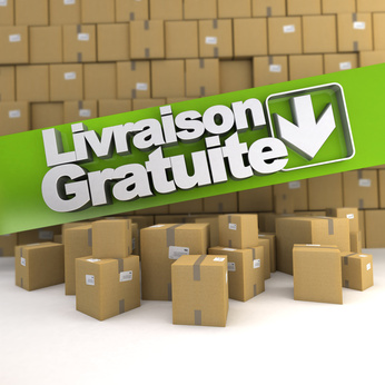 Livraison gratuite e-commerce